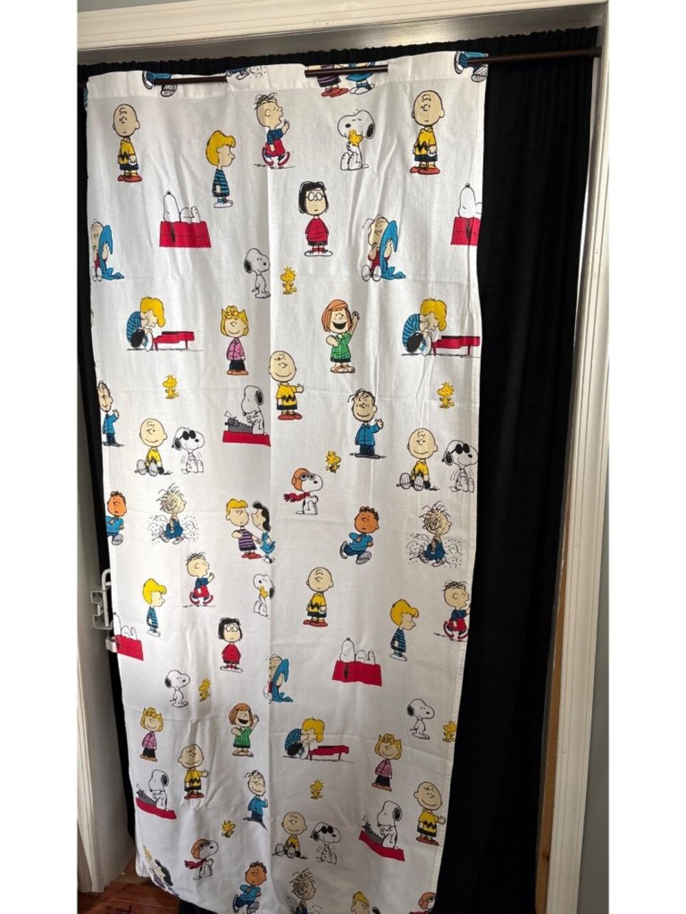 Peanuts Snoopy & Friends Fabric Curtain Panel 31"W x 72"L Cartoon Characters Ret